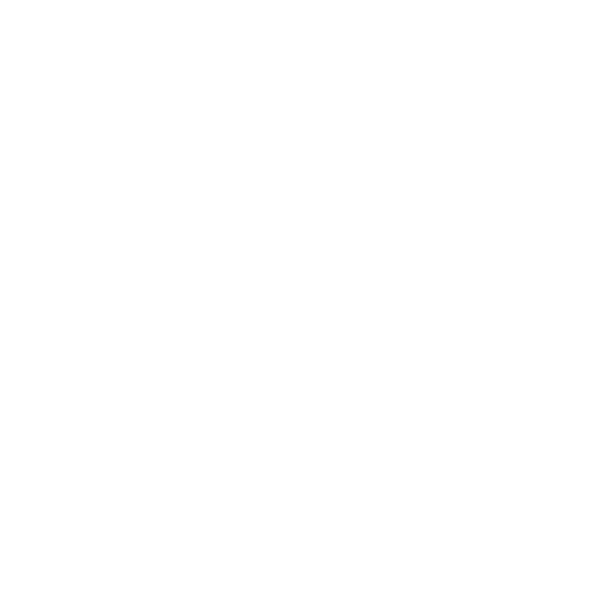 ALICIFER DIGITAL LTDA